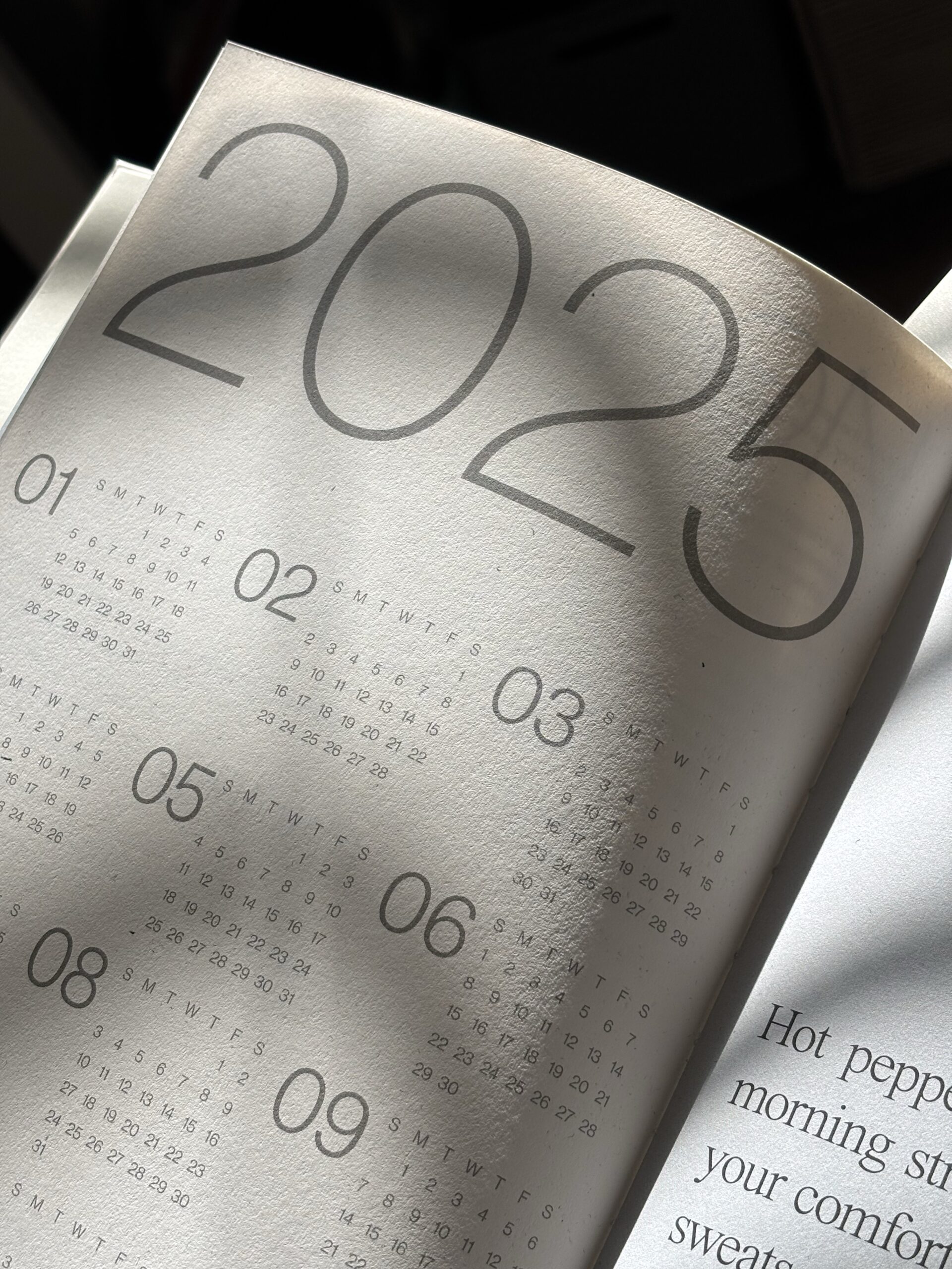 Close-up image of 2025 planner